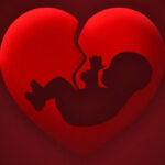 images (27)