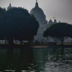 Oplus_16908320