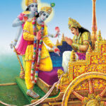images (17)