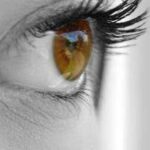images (22)