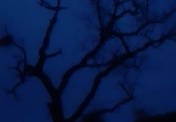 Exif_JPEG_420
