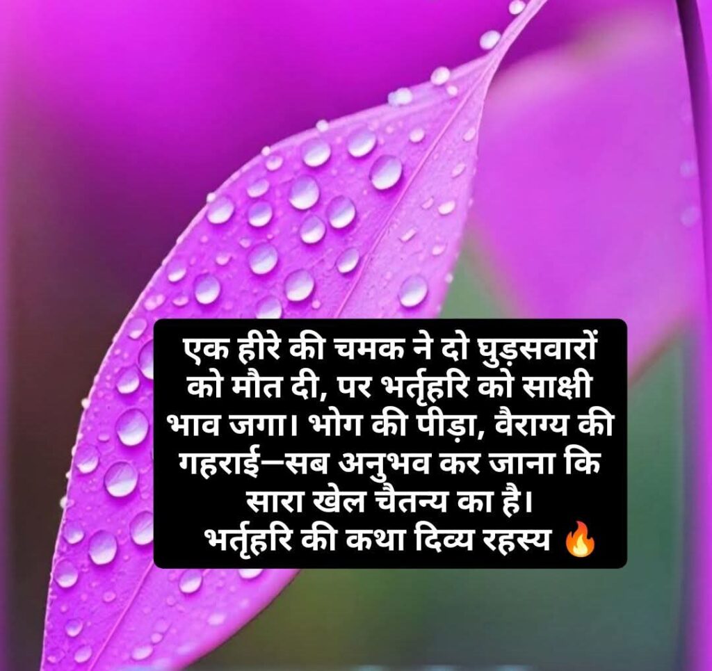 FB_IMG_1750075897021